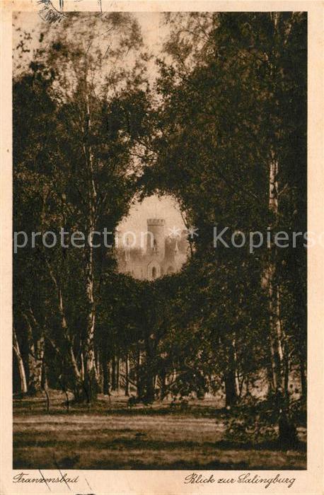 Franzensbad Boehmen Blick zur Salingburg