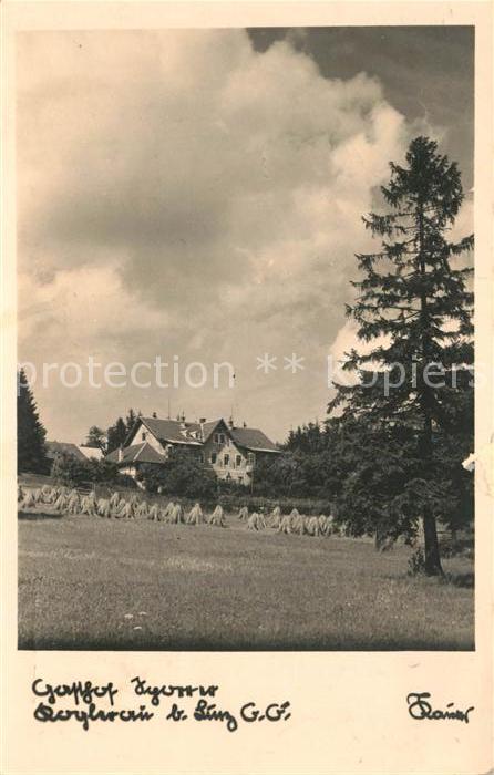 Linz Donau Gasthof in der Koglerau