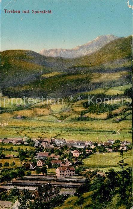 Trieben mit Sparafeld