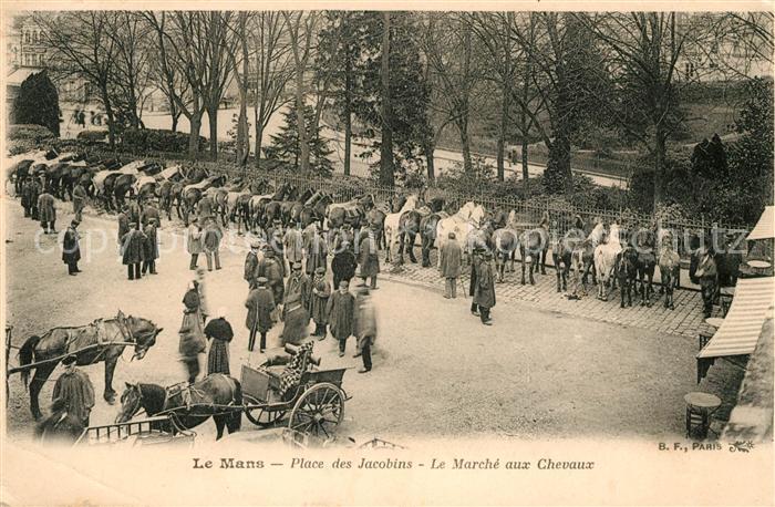 Le Mans Sarthe Place des Jacobins Marché aux Chevaux