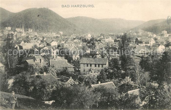 Bad Harzburg Stadtpanorama
