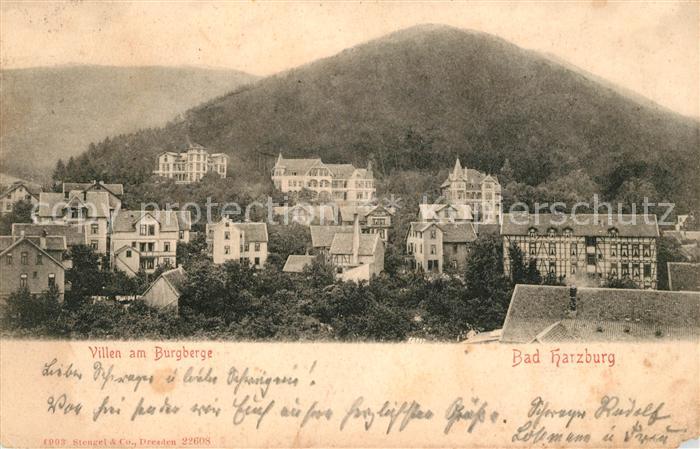 Bad Harzburg Villen am Burgberge