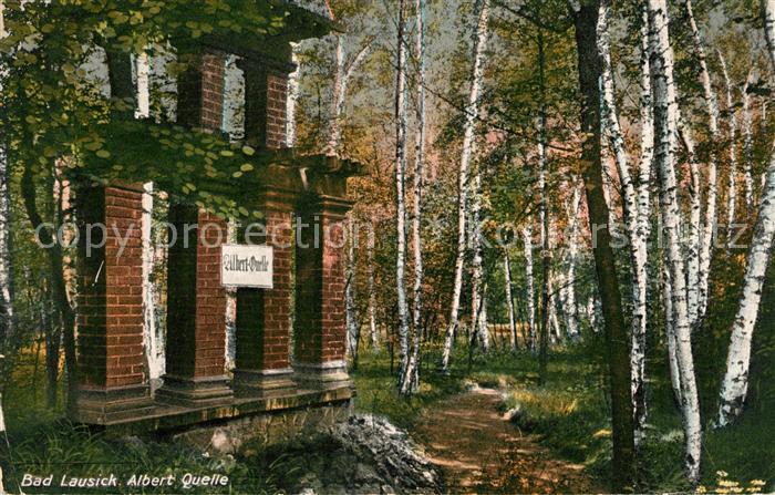 Bad Lausick Albert Quelle im Wald