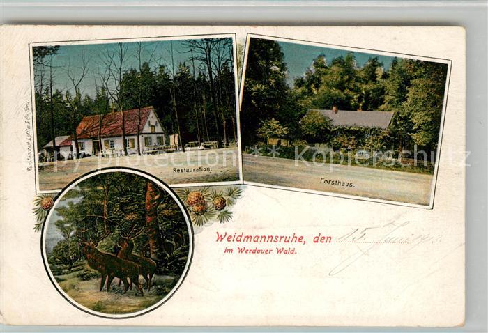 Werdau Sachsen Weidmannsruhe Restauration Forsthaus Hirsche