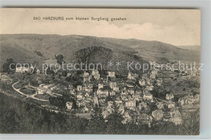 Bad Harzburg vom kleinen Burgberg gesehen