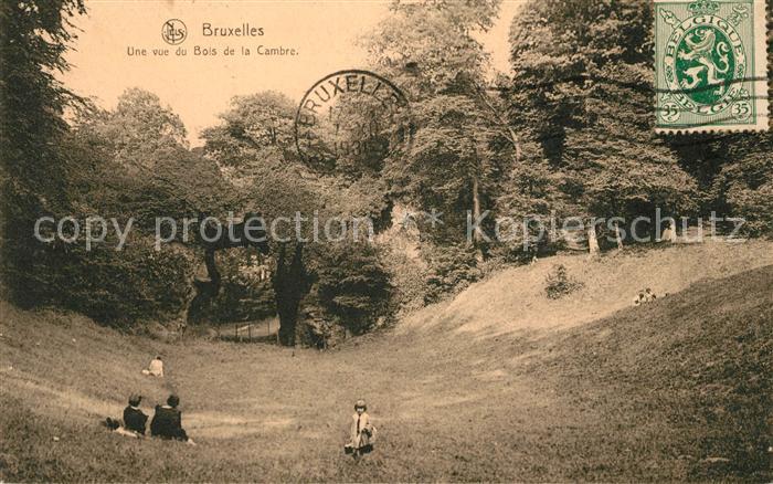 Bruxelles Bruessel Bois de la Cambre