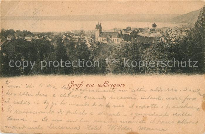 Bregenz Bodensee Schloss Panorama