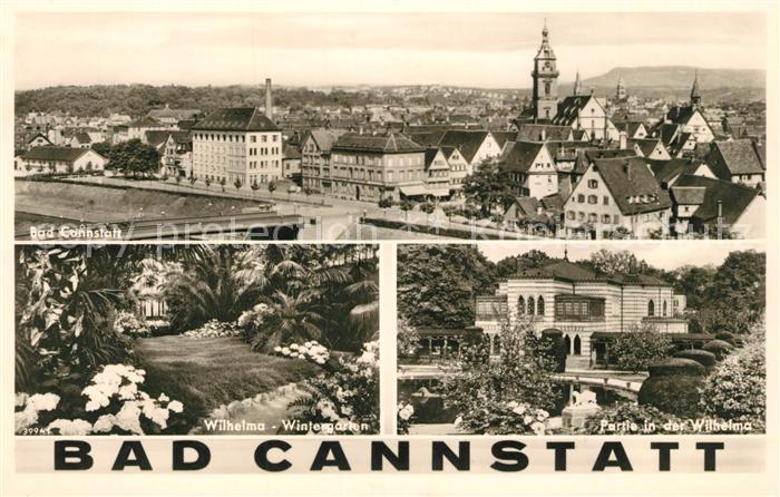Cannstatt Bad Panorama Wilhelma