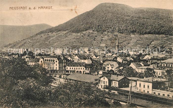 Neustadt Haardt Panorama