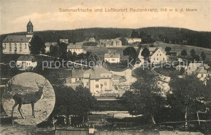 Rautenkranz Vogtland Panorama Kirche Hirsch