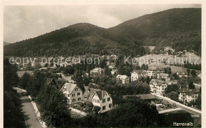 Herrenalb Bad Herrenalb Panorama