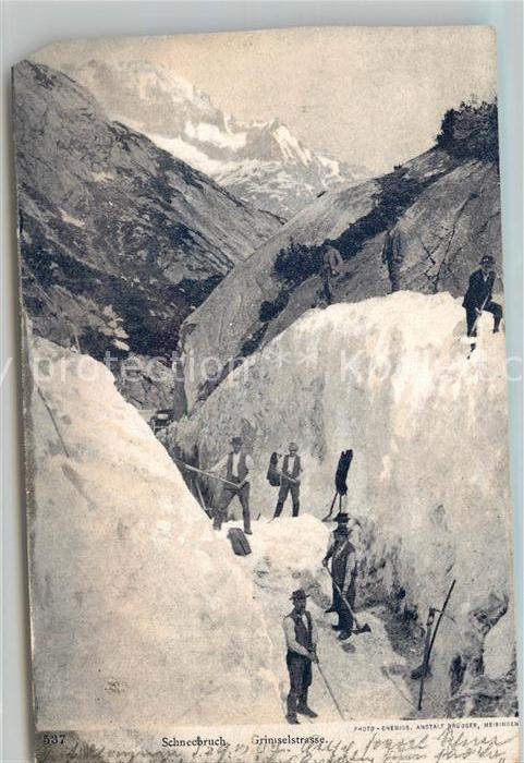 Grimselstrasse Schneebruch