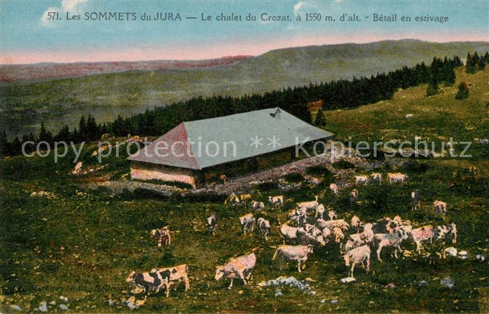 Kuehe Sommets du Jura Chalet du Crozat