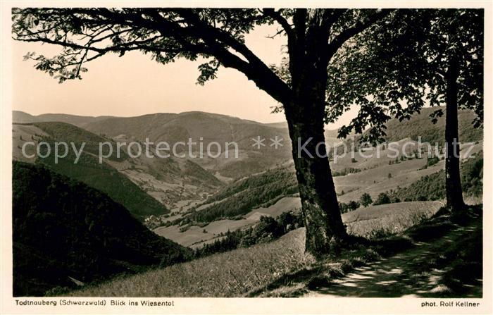 Foto Kellner Rolf Nr. 2570 Todtnauberg Wiesental