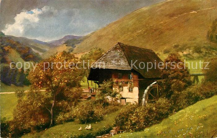 Hoffmann Heinrich Muehle im Schwarzwald