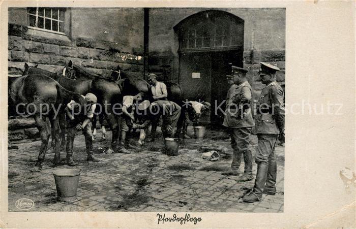 Soldatenleben Pferdepflege