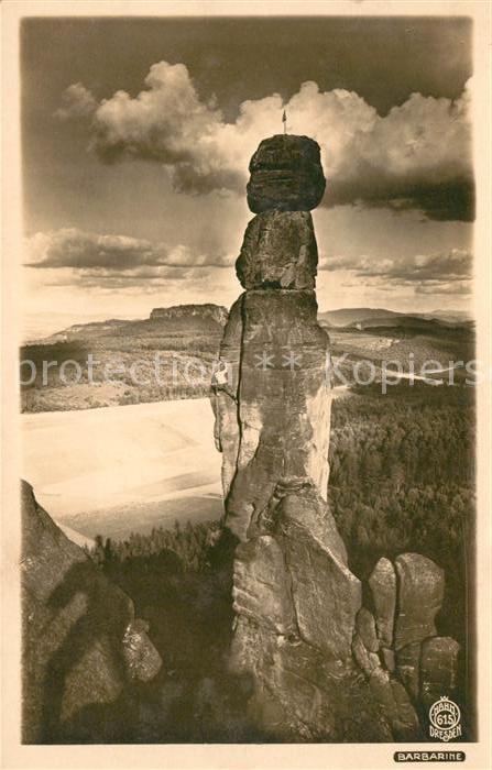 Foto Hahn Nr. 615 Barbarine