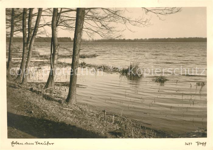 Foto Popp Nr. 3677 Erlau am Seeufer