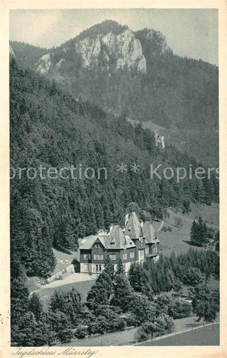 Muerzsteg Fliegeraufnahme Jagdschloss