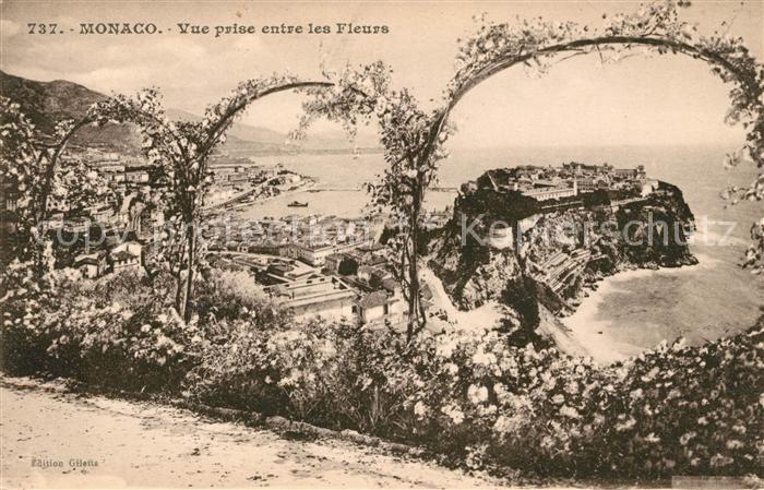 Monaco Vue prise entre les Fleurs le Rocher Cote d Azur