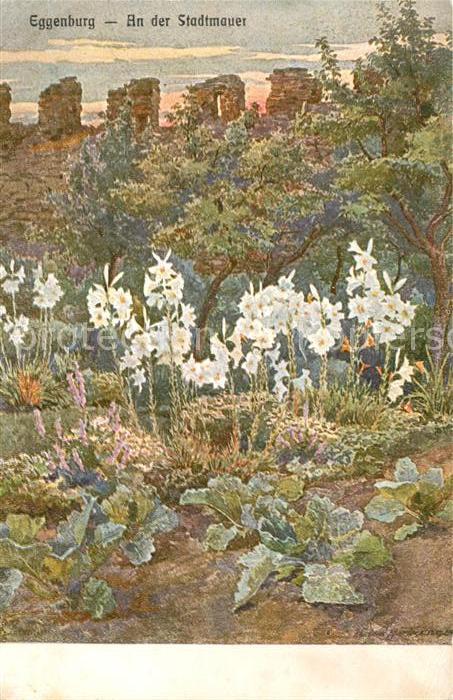 Eggenburg Niederoesterreich Kuenstlerkarte an der Stadtmauer