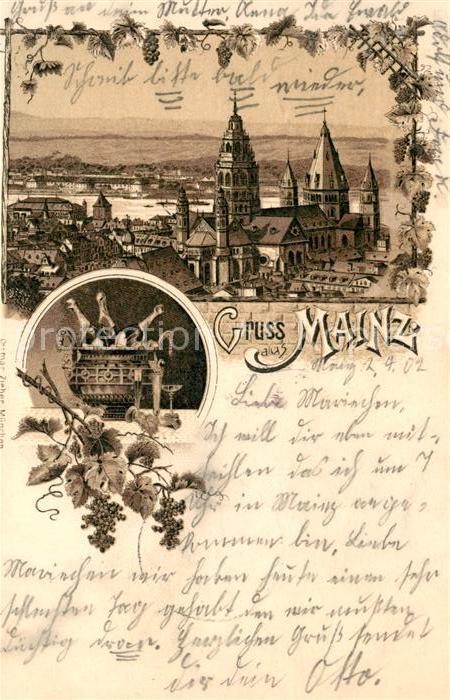 Mainz Rhein Panorama Dom