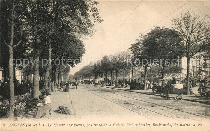 Angers Le Marche aux Fleurs Boulevard de la Mairie