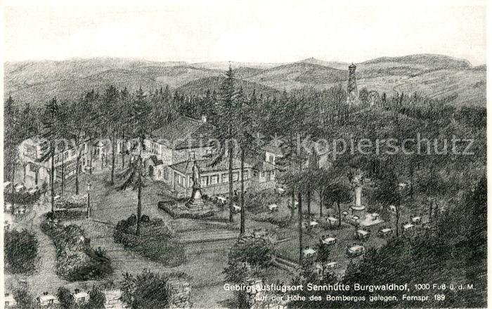 Bad Pyrmont Gebirgsausflugsort Sennhuette Burgwaldhof Bomberg Kuenstlerkarte