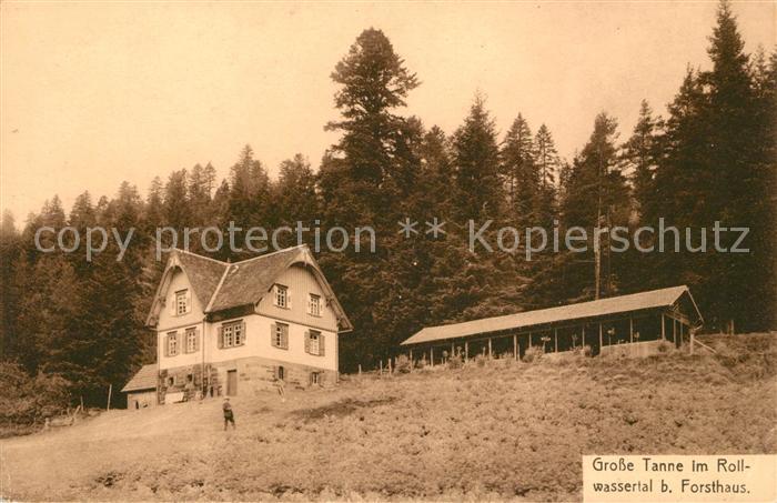 Bad Wildbad Grosse Tanne im Rollwassertal beim Forsthaus