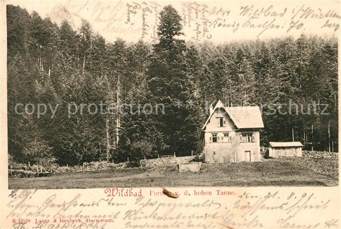 Bad Wildbad Grosse Tanne Rollwassertal Forsthaus