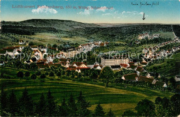 Schoemberg Schwarzwald Panorama