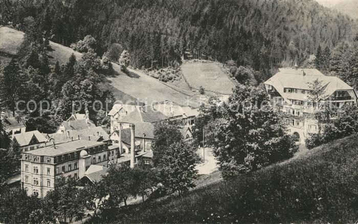 Bad Rippoldsau Schwarzwald Teilansicht