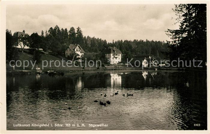Koenigsfeld Schwarzwald Saegeweiher