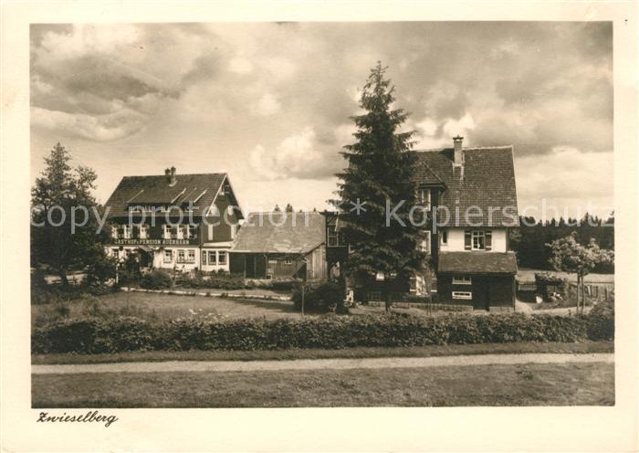 Zwieselberg Freudenstadt Gasthof Pension Auerhahn