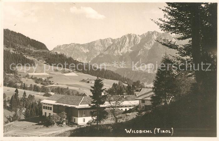 Wildbichl Panorama