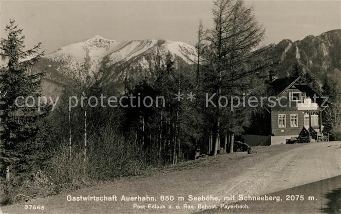 Edlach Gastwirtschaft Auerhahn mit Schneeberg