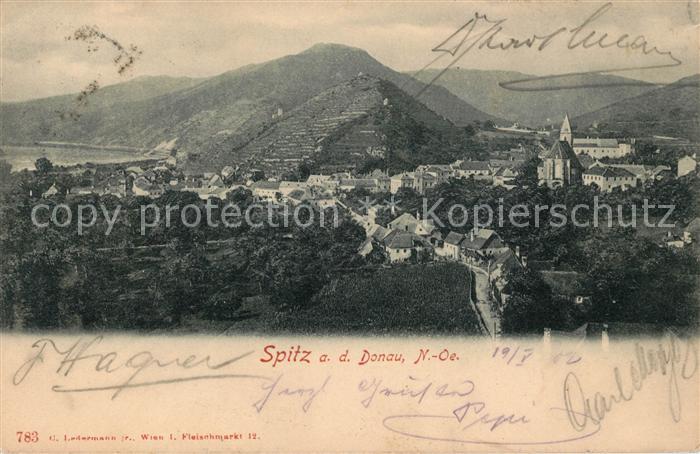 Spitz Donau Panorama