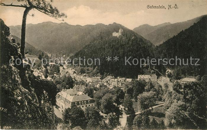 Gutenstein Niederoesterreich mit Ruine