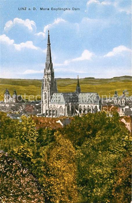 Linz Donau Maria Empfaengnis Dom