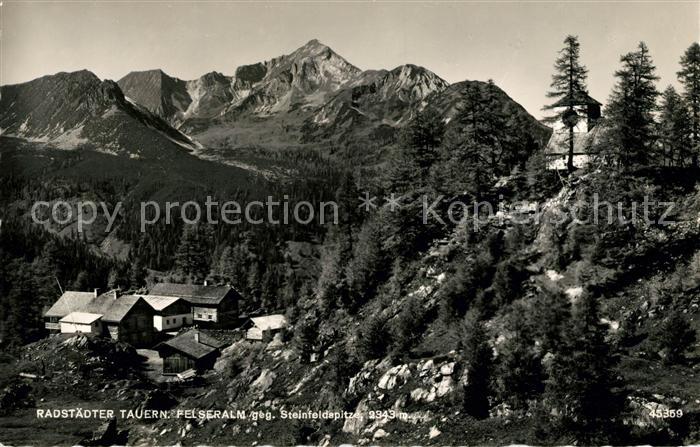 Radstaedter Tauern Felseralm mit Steinfeldspitze