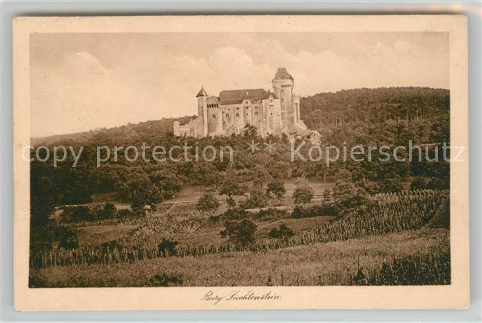 Burg Liechtenstein Panorama