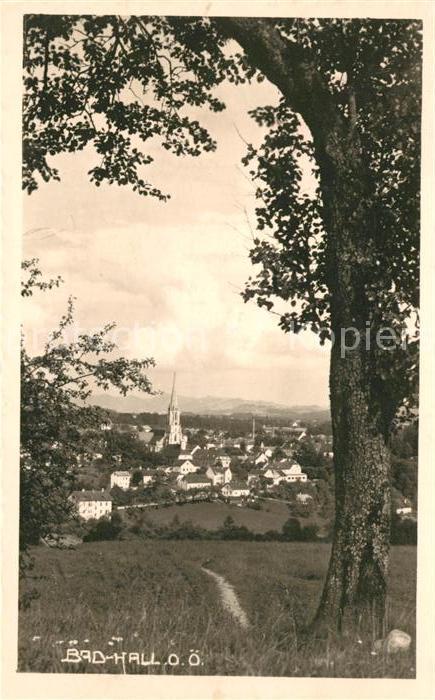 Bad Hall Oberoesterreich Ansicht vom Waldrand aus