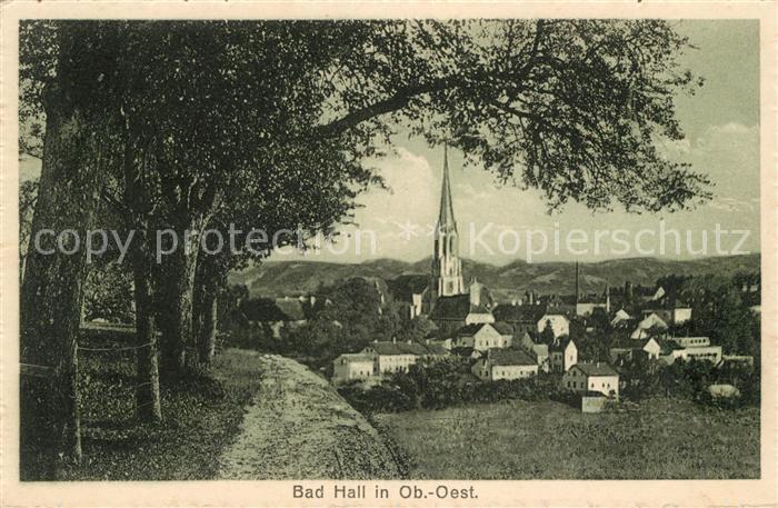 Bad Hall Oberoesterreich Ansicht vom Waldrand aus