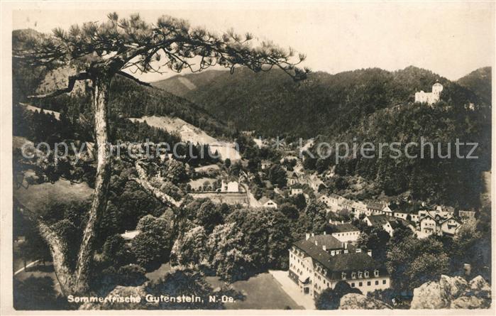 Gutenstein Niederoesterreich Panorama