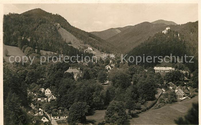 Gutenstein Niederoesterreich Panorama
