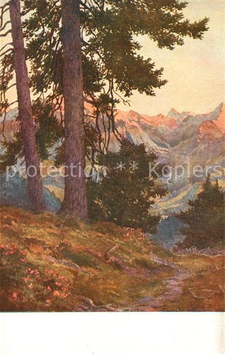 Zell See Weg zur Schmittenhoehe mit Grossglockner