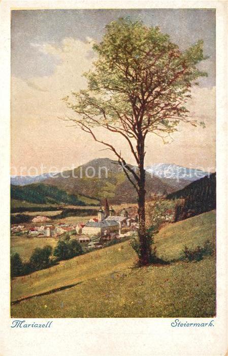 Mariazell Steiermark Panorama