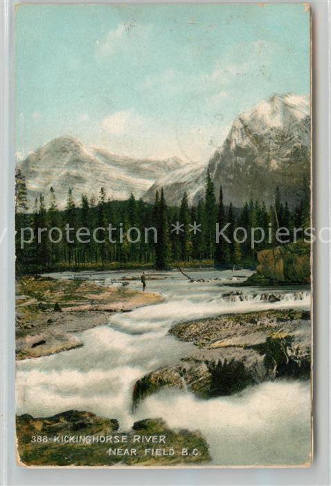 Field Kickinghorse River Mountains Nature