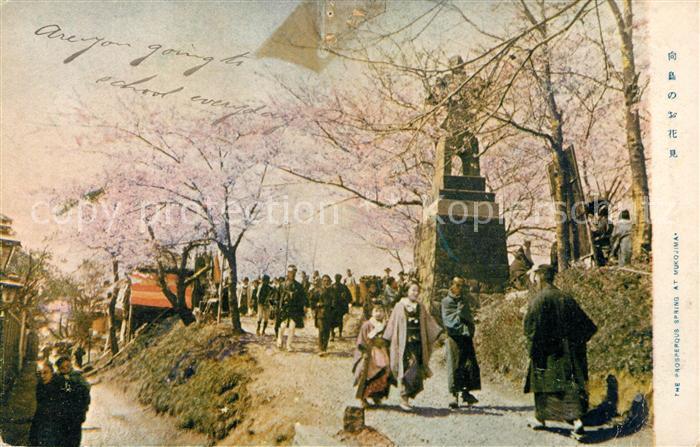 Mukojima Prosperous Spring