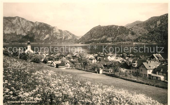 Unterach Attersee Blumenwiese Panorama Blick ueber den See Alpen